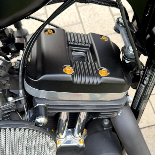 Motorschrauben Set - passend für Sportster Evolution